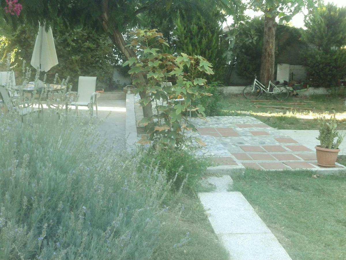 Home Katerina Kymina Εξωτερικό φωτογραφία