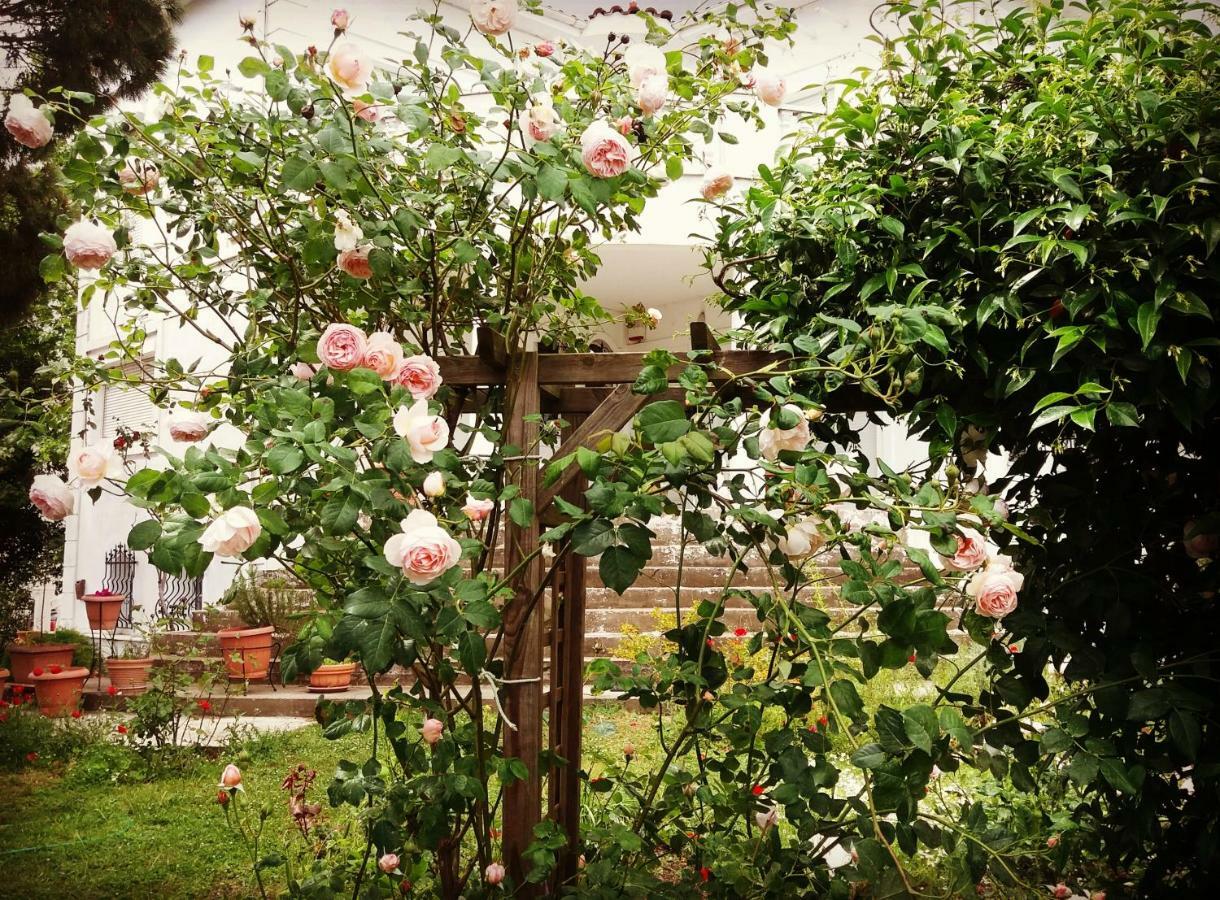 Home Katerina Kymina Εξωτερικό φωτογραφία