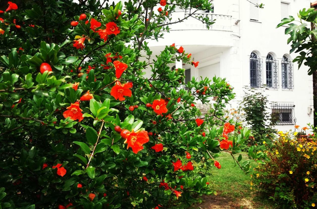 Home Katerina Kymina Εξωτερικό φωτογραφία